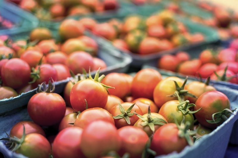 Fresh Vegetables